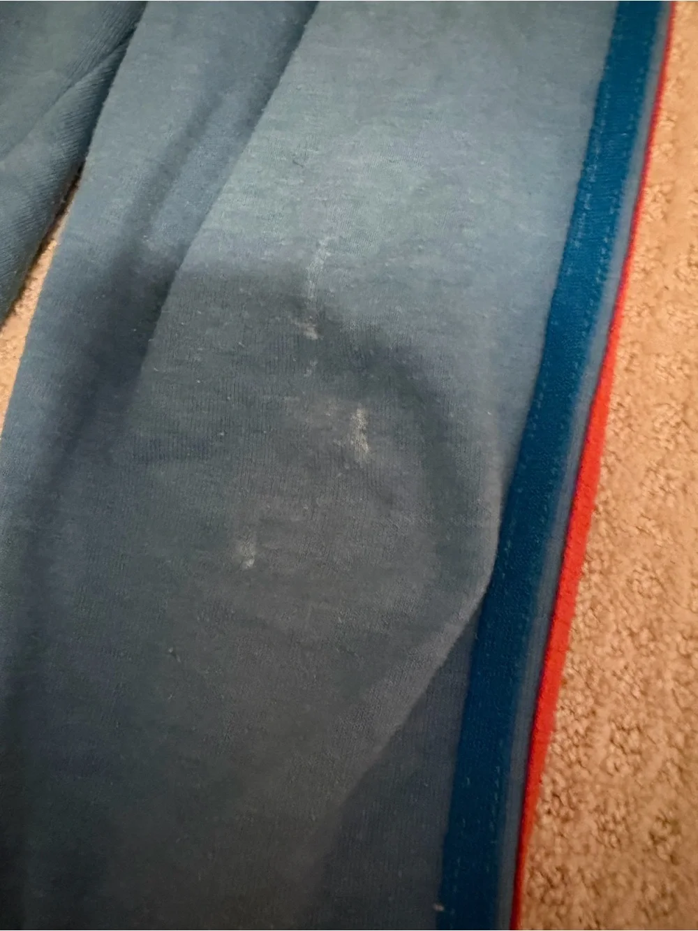 blue a aviator nation sweatpants